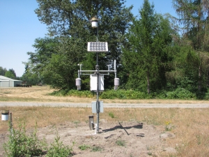 A Missing Images of WSU AgWeatherNet Weather Station Puyallup